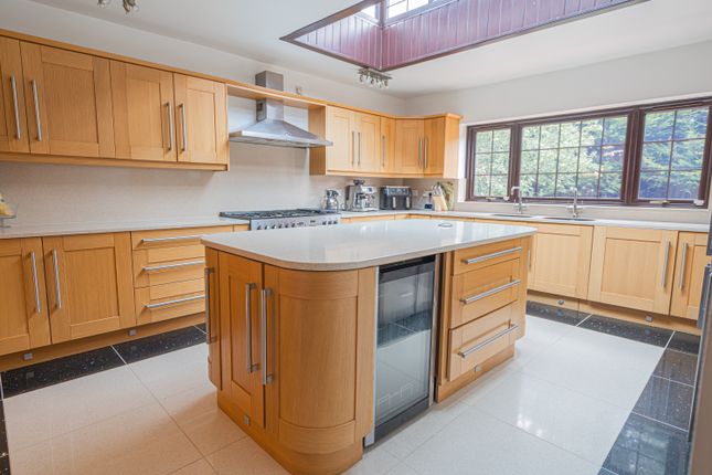 20250801-Dsc0596520250801