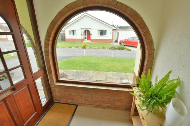 46, Martindale Avenue, Colehill photo 2