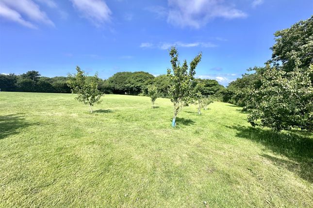 Img_0374.Jpeg