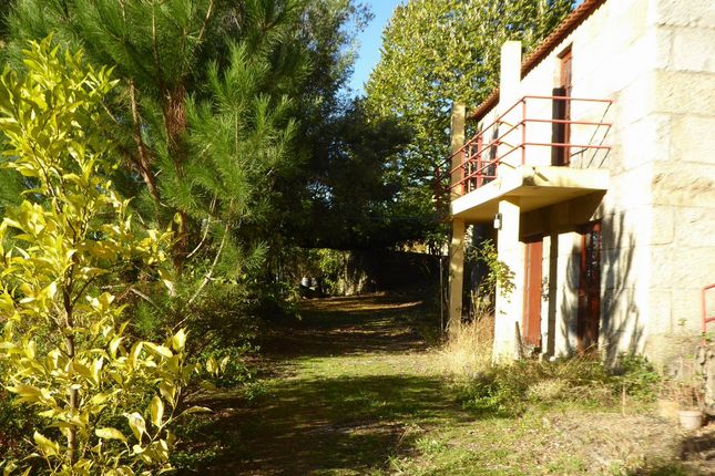 Farm for sale in Farm Confining With A River, Portugal, Cinfães, Viseu District, Norte, Portugal