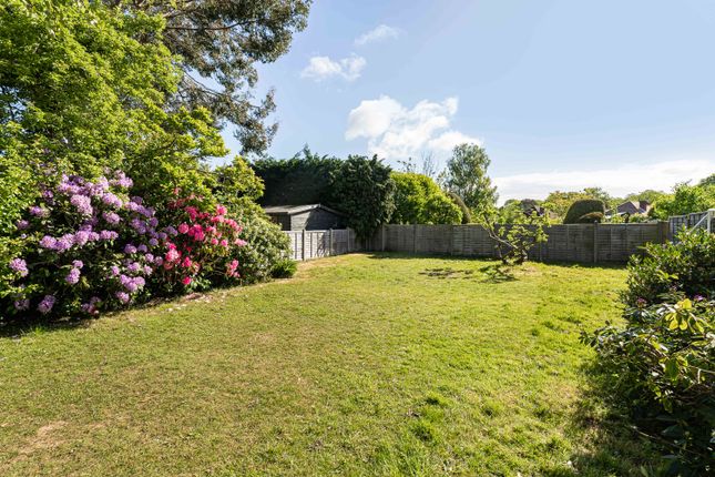 80, Pulens Lane, Petersfield photo 3