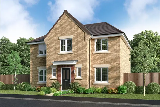 Miller Homes - The Avenue at City Fields