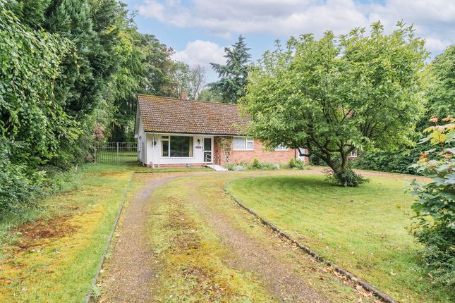 Thumbnail Detached bungalow for sale in Charles Close, Wroxham, Norwich