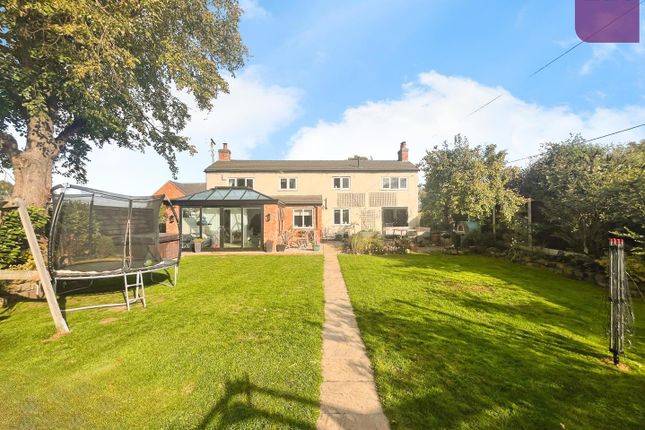 User_Edited_Photo-46Cf0F15_User-Edited-610Db364-1d