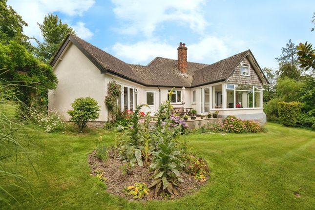 Thumbnail Bungalow for sale in Kilmington, Axminster