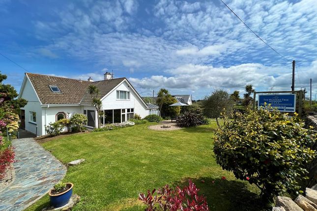 Thumbnail Hotel/guest house for sale in Mustard Tree St. Ives Road, Carbis Bay, St. Ives, Cornwall