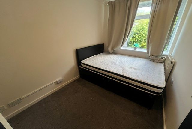 80, Canterbury photo 5