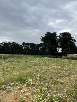 Thumbnail Land for sale in Fen Road, Redgrave, Diss