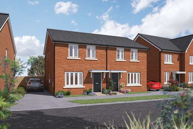 Thumbnail Semi-detached house for sale in "The Holly" at Hook Lane, Rose Green, Bognor Regis