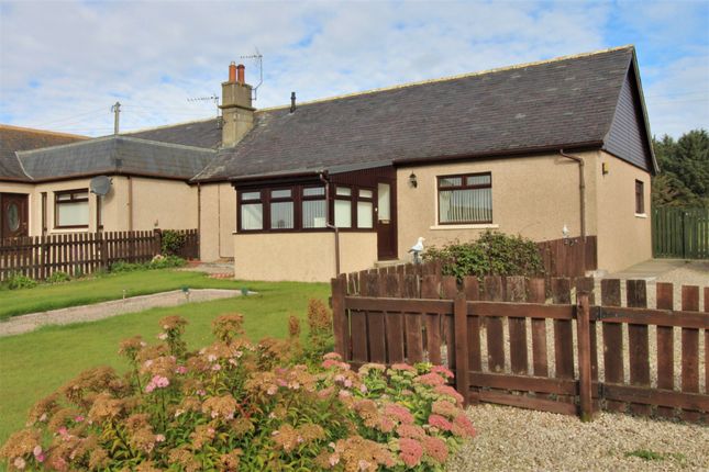 Thumbnail Semi-detached bungalow for sale in Westerbogs Cottages, Buckie