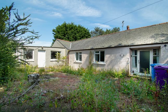 4, Borrowfield Road, Montrose photo 4