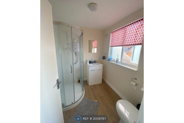 Terraced house to rent in Park Road, Exeter