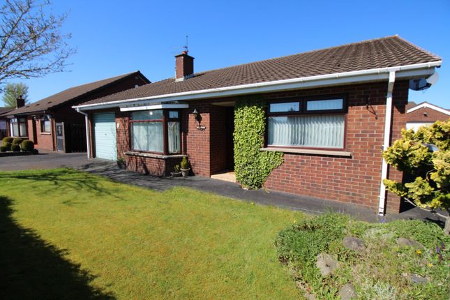 Thumbnail Bungalow for sale in Dromore Road, Carrickfergus, County Antrim