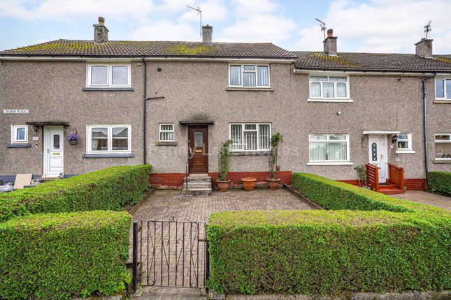 Thumbnail Terraced house for sale in Alder Place, Johnstone