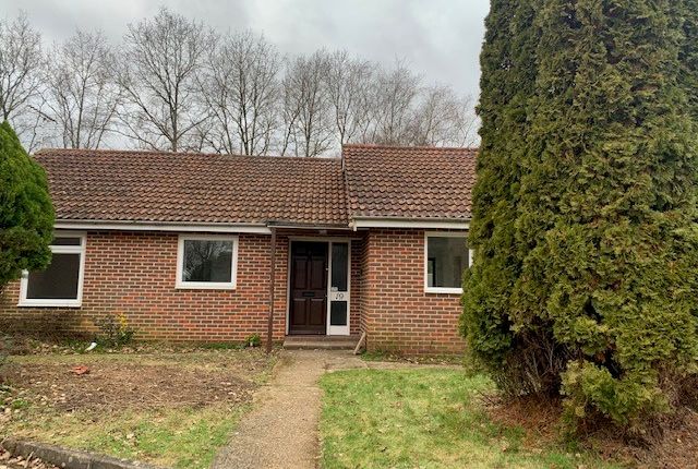 Thumbnail Detached bungalow to rent in Long Down, Herne Farm, Petersfield