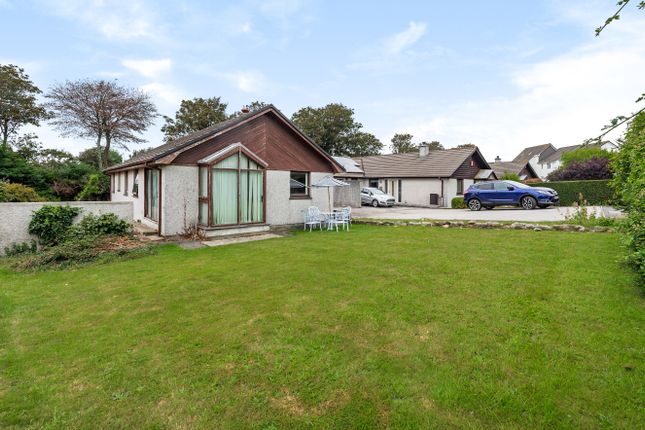 Thumbnail Bungalow for sale in Greenbank, Connor Downs, Hayle