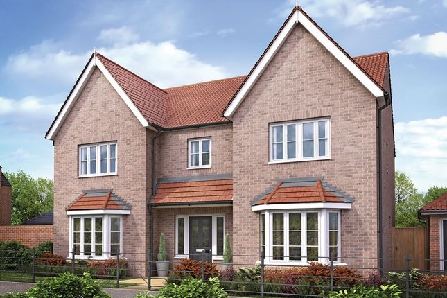 Thumbnail Detached house for sale in "The Mappleton - Plot 96" at The Meadows, Wynyard, Billingham