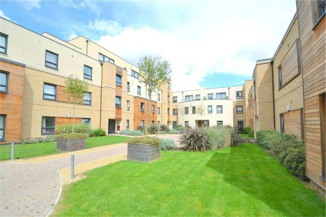 Thumbnail Flat to rent in Park Square, Brookside, Huntingdon, Cambridgeshire
