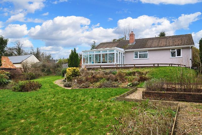 Thumbnail Bungalow to rent in Clatworthy, Taunton, Somerset