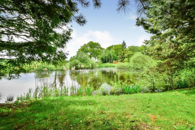 Bungalow for sale in Ladera Park, Back Lane, Eaton, Cheshire