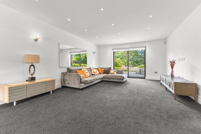 Living Room/Lounge