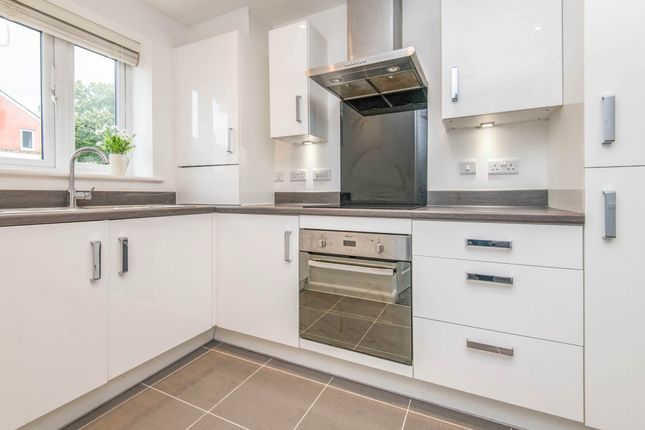 40 Tillhouse Road, Exeter photo 3