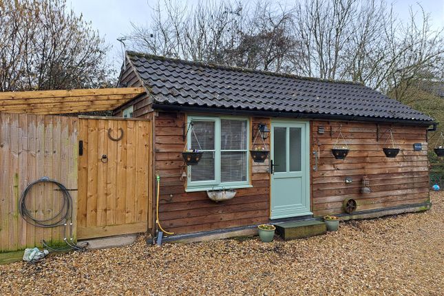 Thumbnail Detached bungalow to rent in Rose Green, Dinnington, Hinton St. George