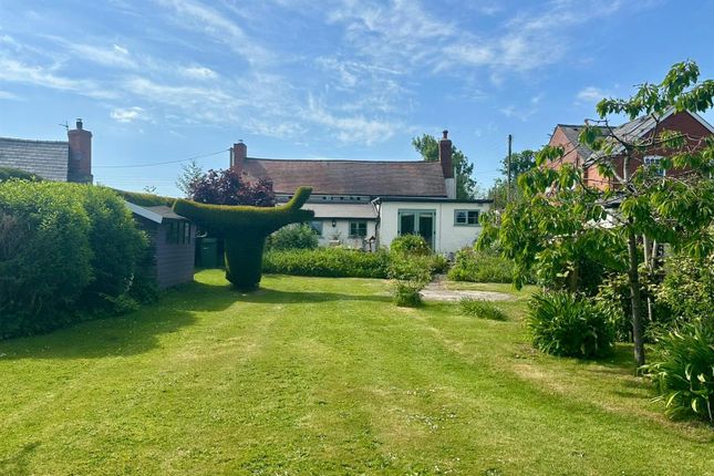 The Cottage, Burghill, Hereford photo 2