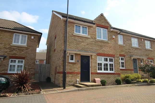 Semi-detached house to rent in Lowry Grove, Cheswick Village, Bristol