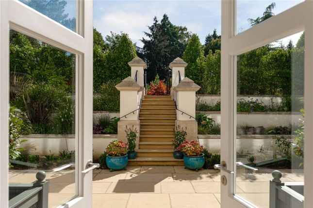 Garden Details