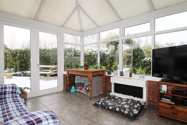 Primrose Cottage, Blazegate, Gedney Spalding photo 4