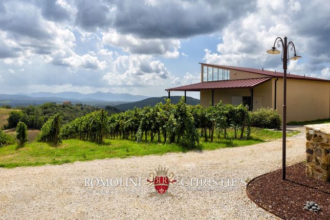 Farm for sale in Grosseto, Tuscany, Italy