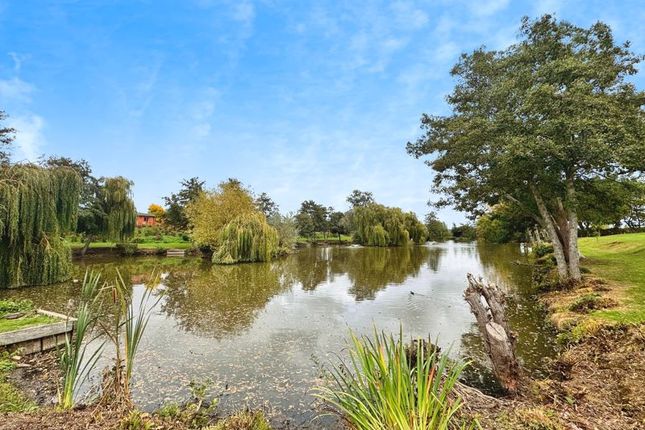 60 Homestead Lake, Thorpe Road, Clacton-On-Sea photo 2