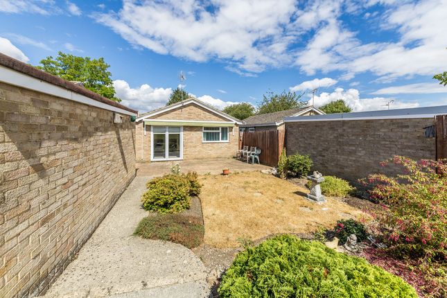 41 Coromandel, Abingdon photo 4