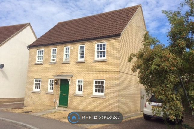 Detached house to rent in Wissey Way, Ely