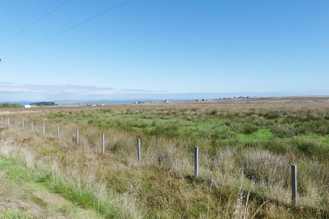Land for sale in Upper Canisbay, John O' Groats