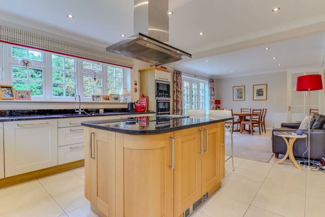 6 Holt Drive, Leicester photo 3