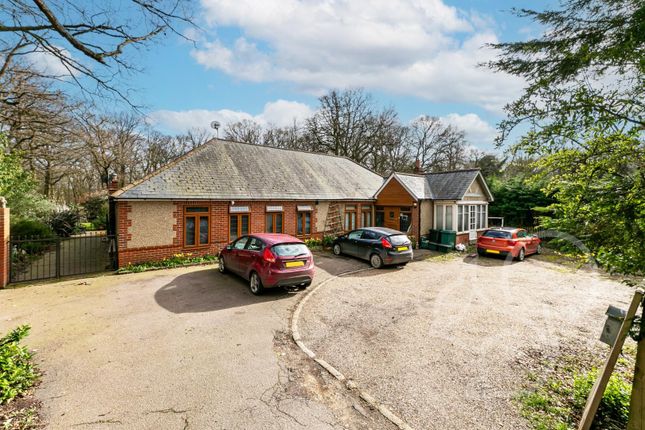 Thumbnail Detached bungalow for sale in Old Ipswich Road, Dedham, Colchester