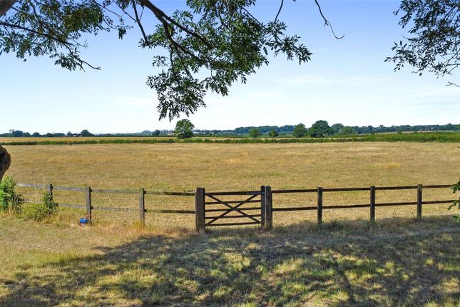 Paddock Land