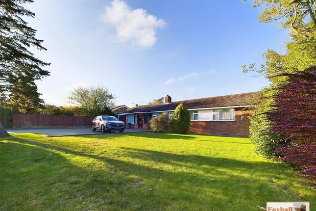 Thumbnail Detached bungalow for sale in Westerfield Lane, Tuddenham, Ipswich