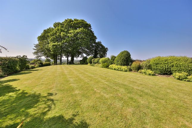 Garden2.Jpg