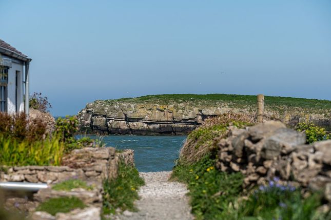 Swnt Cottages, Moelfre photo 3