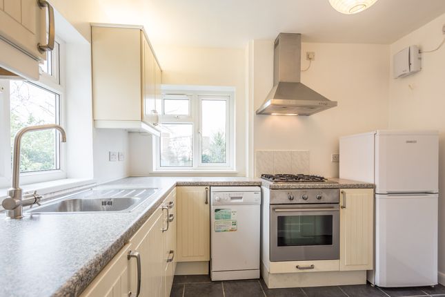 Thumbnail Flat to rent in Chestnut Grove, London