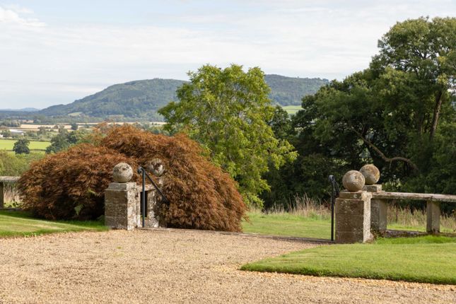 Gardens &amp; Grounds