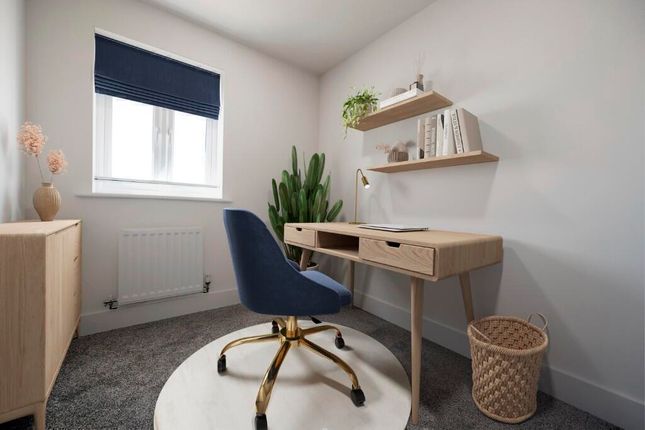 Chaffinch, Constantine Way, Mansfield photo 4