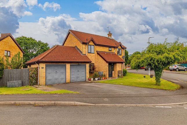 Briarmeadow Drive 9-6.Jpg