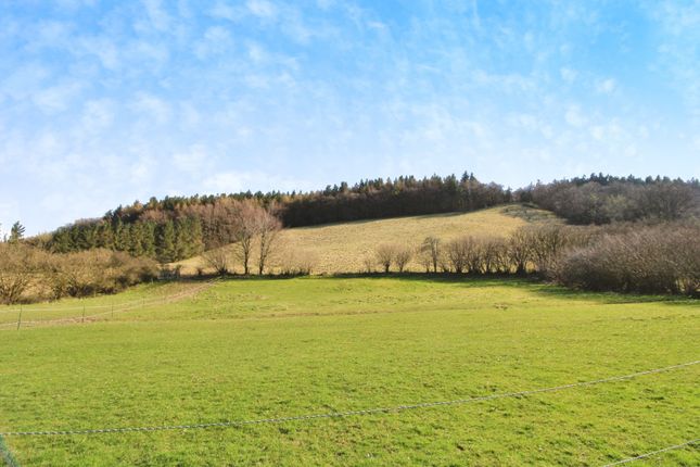 Highly Desirable Smallholding Property