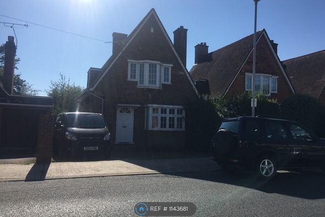 Thumbnail Detached house to rent in Manor Way, Ruislip