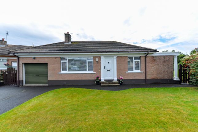 Thumbnail Bungalow for sale in Grangeville Park, Newtownards, County Down