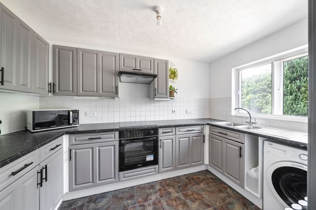 53 Hibiscus Crescent, Andover photo 3